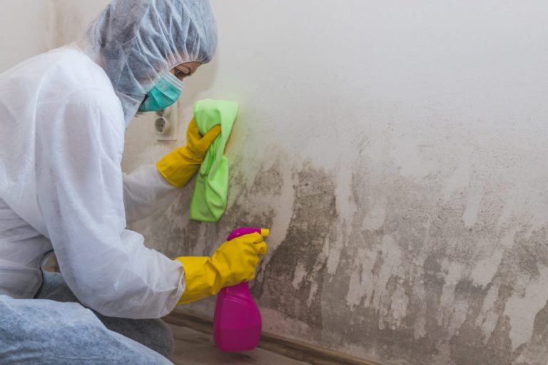Emergency Flood Remedial Service: Quick and Dependable Fix for Your House